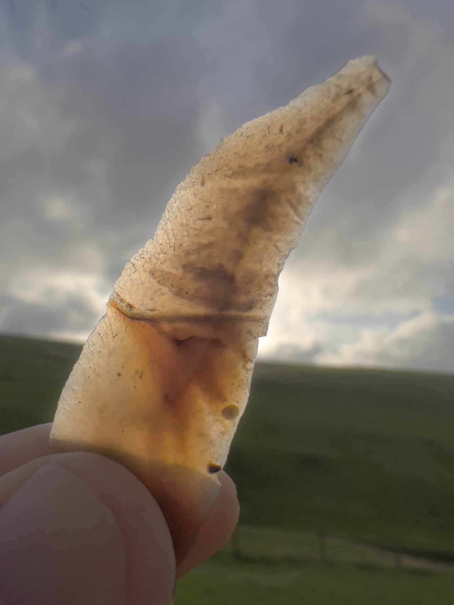 6 x 40 gram packs of my Flint Sliced Oak Smoked Salmon. Vacuum packed with a shelf life of 10 days from date of packing.